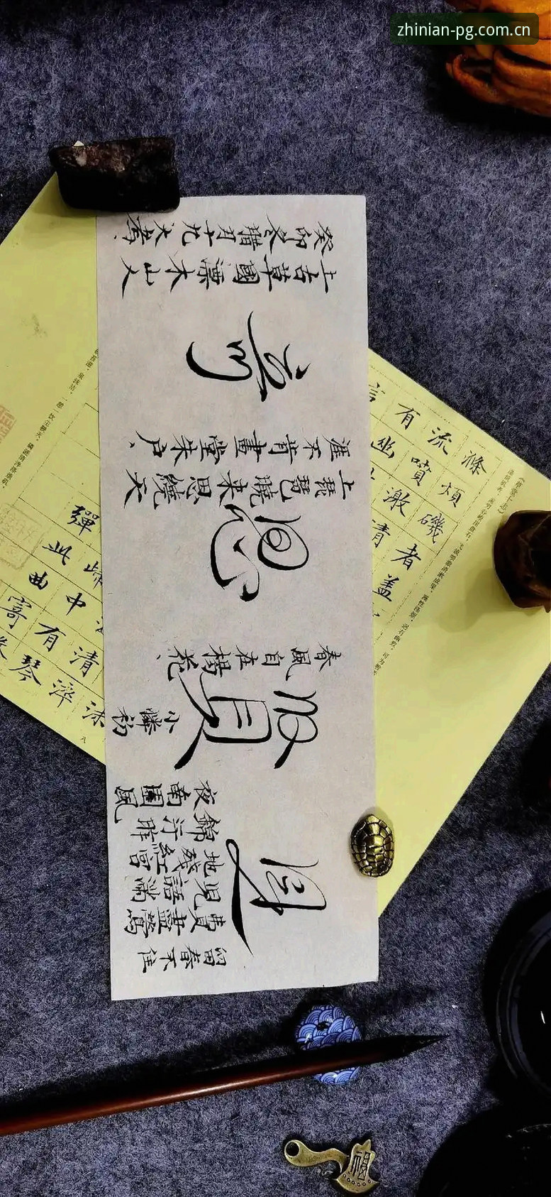 执念所向海外华人数据平台 执念所向海外华人数据平台 - PG·CN | 执念所向